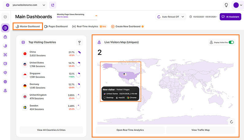 Live Visitors Map in the Master Dashboard