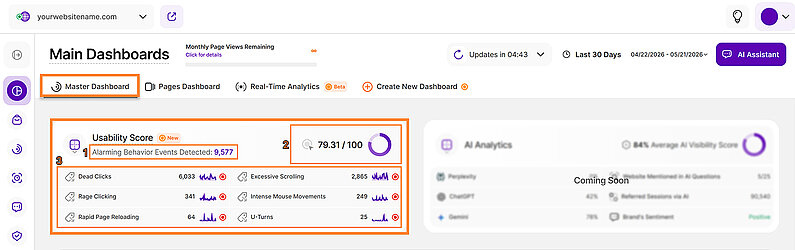 Analyzing Website Usability Analyzing Website Usability