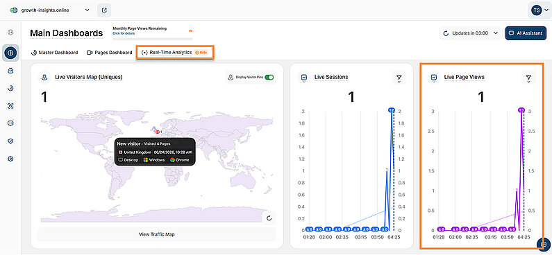 Real-Time Page Views Overview Real-Time Page Views Overview